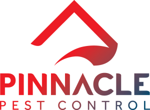 Pest control chelmsford